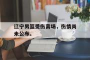 米兰体育中国官网-辽宁男篮受伤离场，伤情尚未公布。