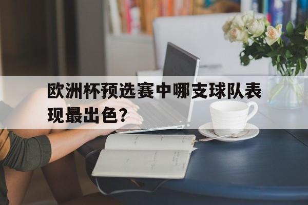 欧洲杯预选赛中哪支球队表现最出色？